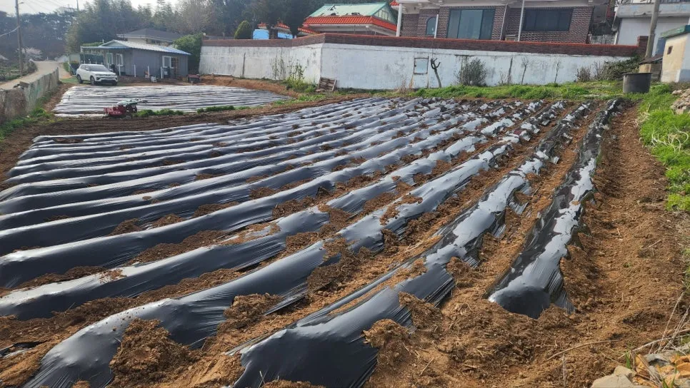 KakaoTalk_20250422_171916217.jpg?type=w966