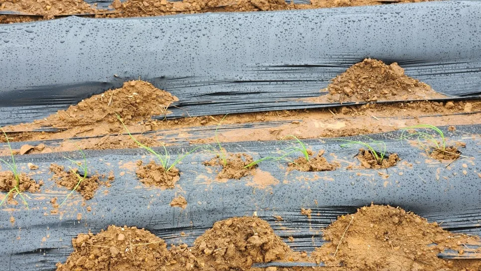 KakaoTalk_20250422_151937053_01.jpg?type=w966