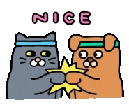 original_3.gif?type=pa50_50