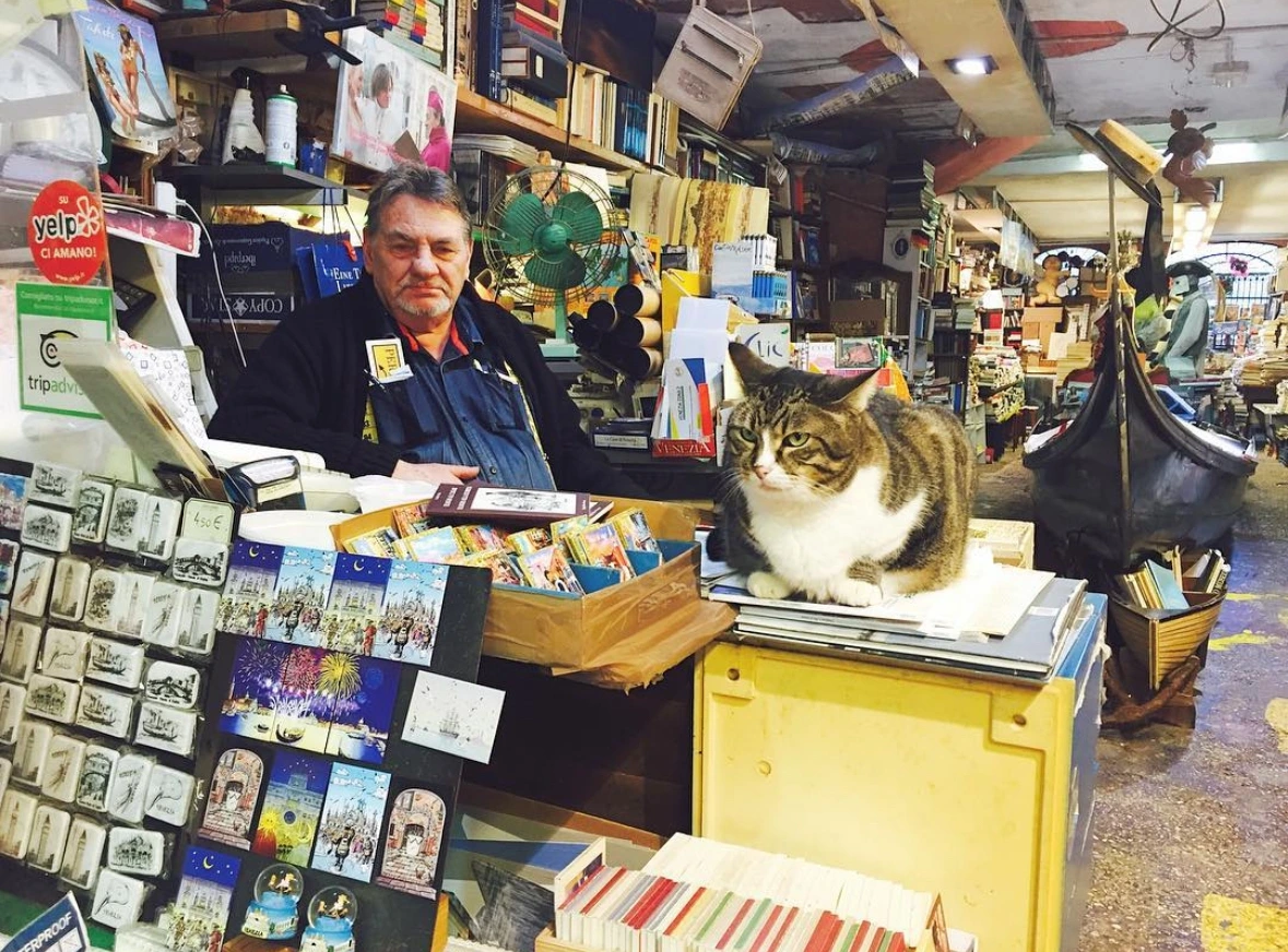 KakaoTalk_Photo_2025-04-01-12-05-25 004.jpeg