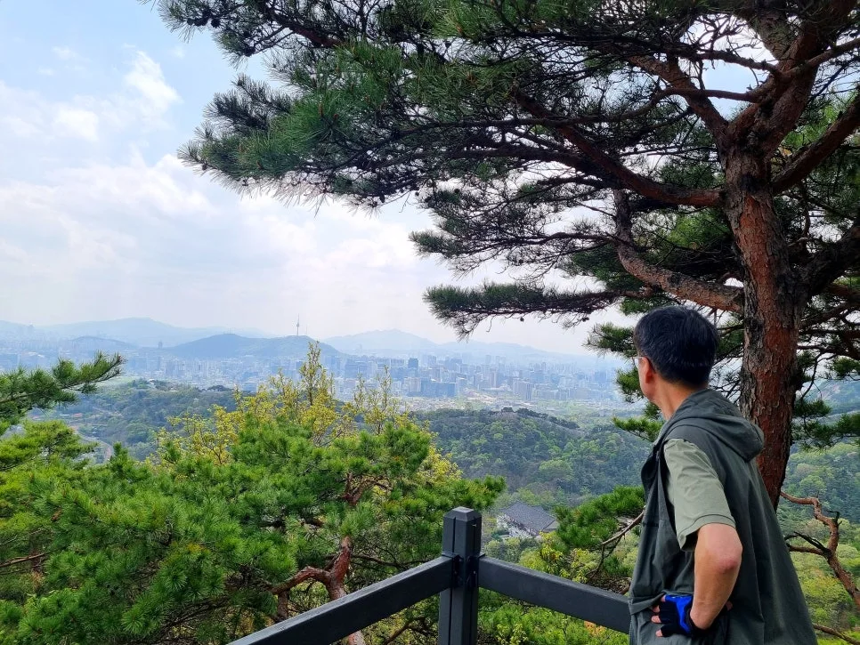 SE-f4478209-dc36-489b-b394-d2b6762da064.jpg?type=w966