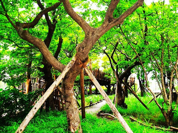 SE-c6810ef6-da14-4df8-88dd-f5c9fd787cac.jpg?type=w1