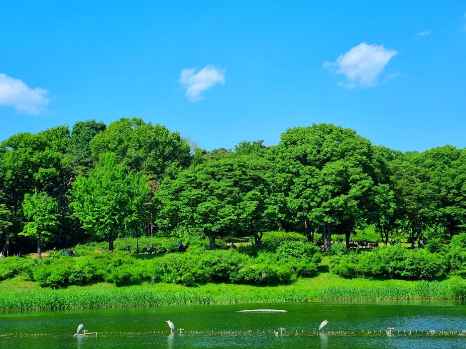 SE-8a8a79d2-35db-4ae6-a36e-ad7256882f5c.jpg?type=w1