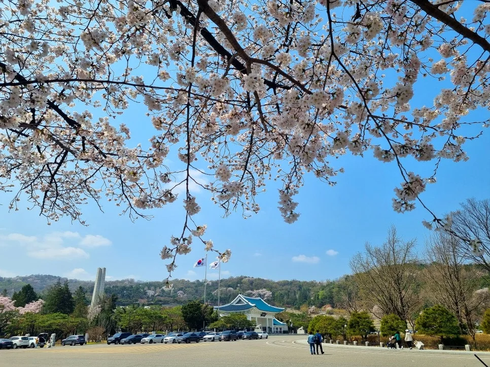 SE-ee93658a-6627-4277-8dee-3e587f8da675.jpg?type=w966