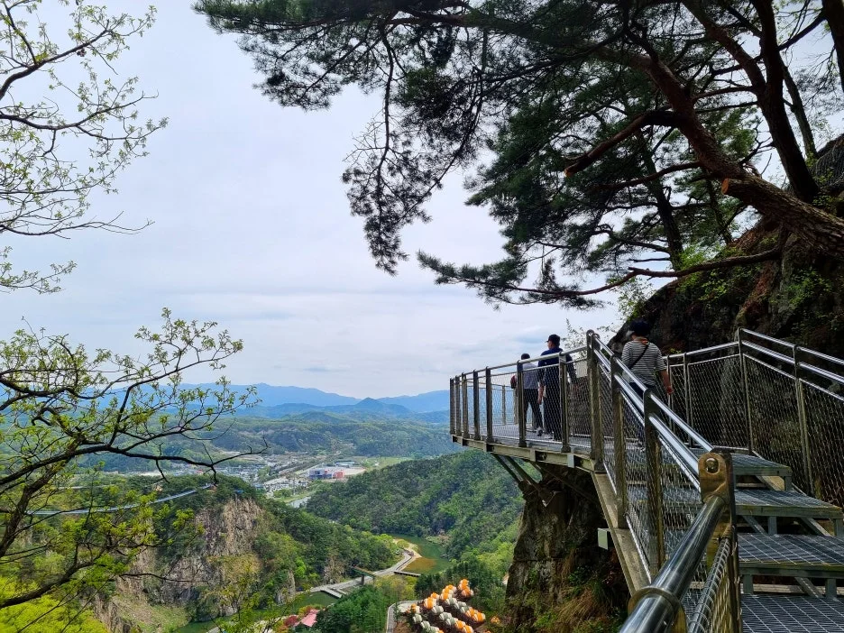 SE-96e8e62f-113d-4c3d-afa5-1c5246b7fee0.jpg?type=w1