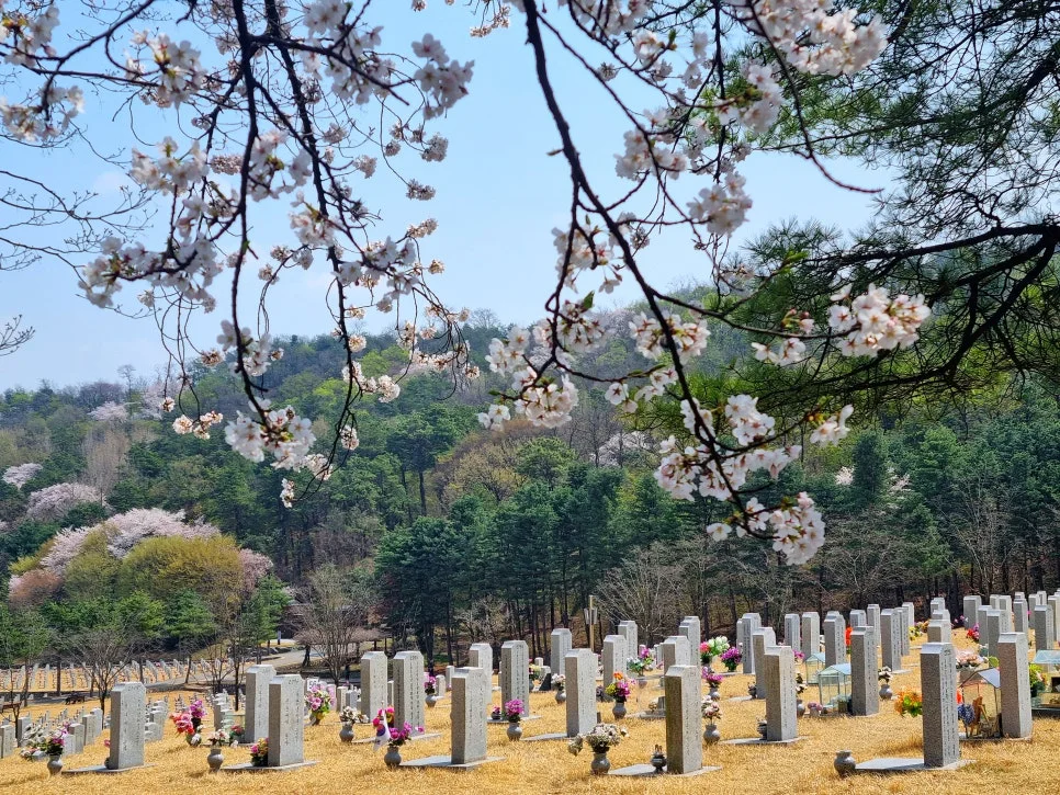 SE-521ee923-5d95-4a73-9171-a327ef916905.jpg?type=w966