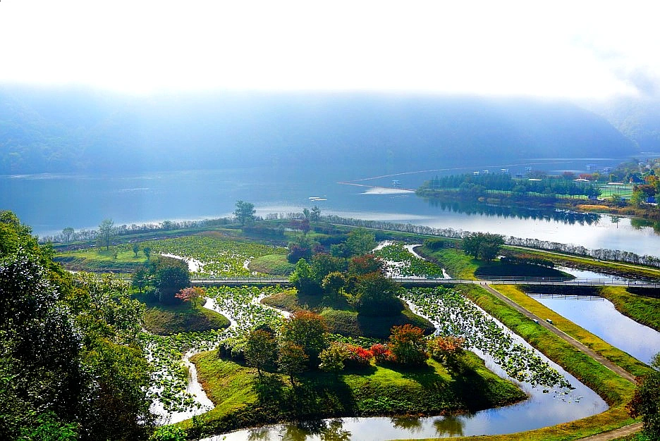 SE-0cfe43e2-e86d-4716-8a42-745d611b0aa5.jpg?type=w1