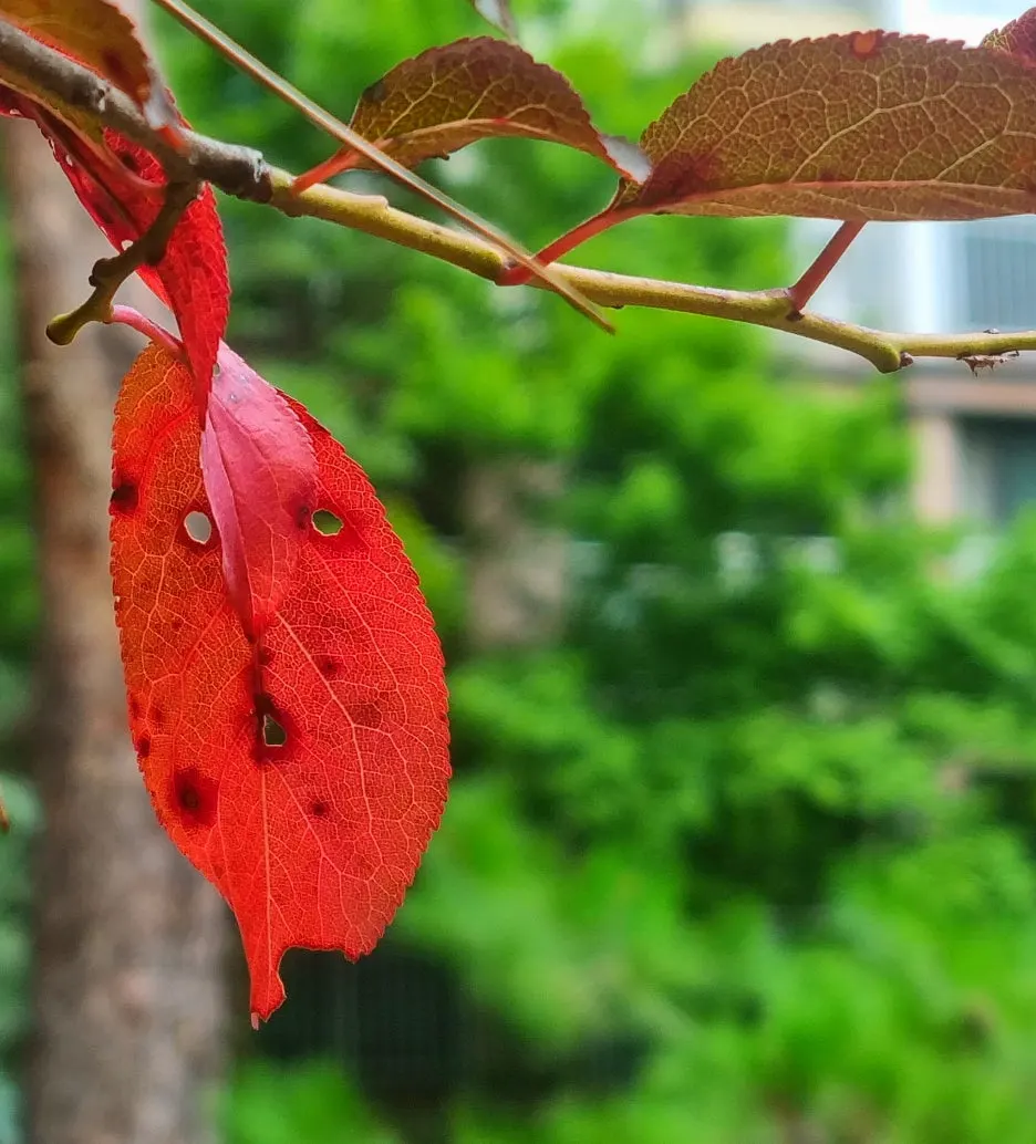 SE-150ffcb1-022a-4d40-bedb-5f607b5018b4.jpg?type=w1