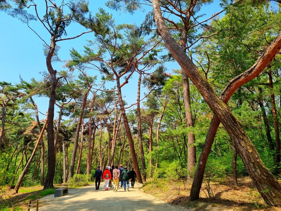 SE-191845fe-c1c6-4edd-99f1-bdfb66bf69a0.jpg?type=w1