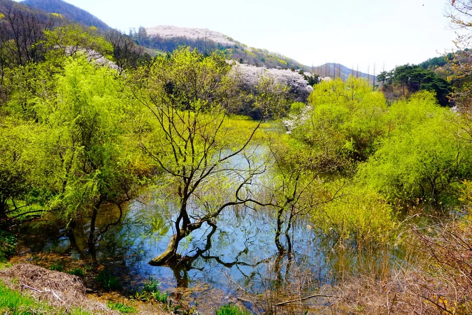 SE-a1afcf62-9e40-4114-b5a1-95f1bb91d51b.jpg?type=w1