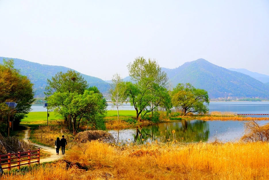 SE-4b6d966c-d74c-4367-8a75-9081ec147c5a.jpg?type=w1