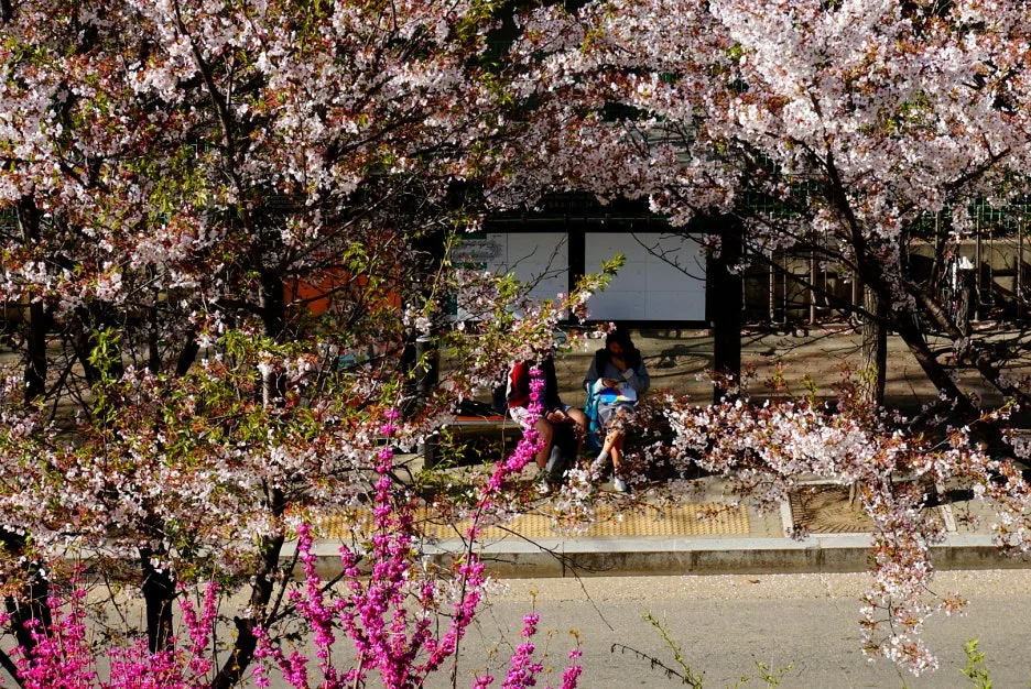 SE-efa25751-7c0d-47ab-9322-685c732f9679.jpg?type=w1