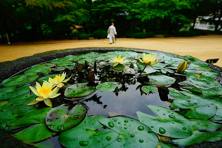 SE-4a54a056-dc6a-41a5-88bd-d5d520847bc7.jpg?type=w1