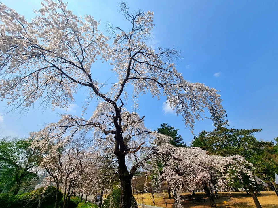 SE-edcee310-3888-410e-8643-c24b2f222f88.jpg?type=w966