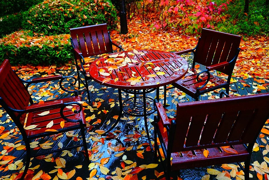 SE-9dcf7229-c5c5-4918-9c8b-970775108186.jpg?type=w1