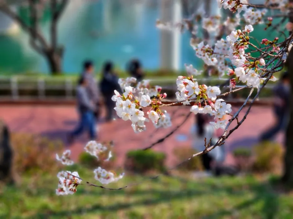 SE-39e2a676-7f16-47f1-9029-baf8e7da7326.jpg?type=w1