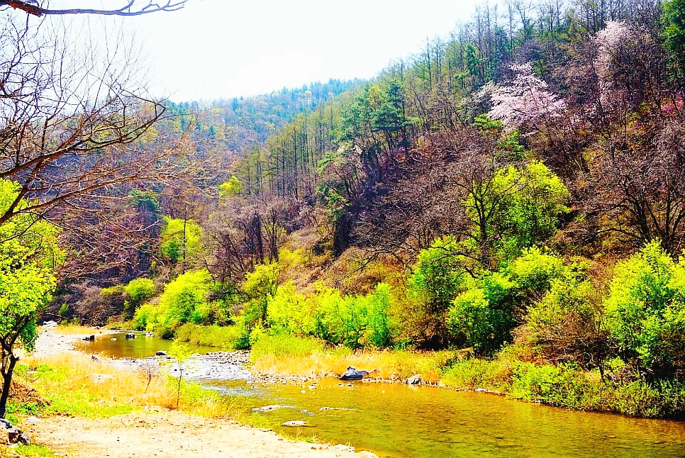 SE-d6c3d213-c43a-4f5d-9327-fe8917381914.jpg?type=w966