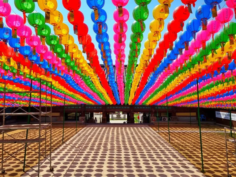 SE-f875b43c-a11e-4fa9-92c9-5550cc116a56.jpg?type=w1