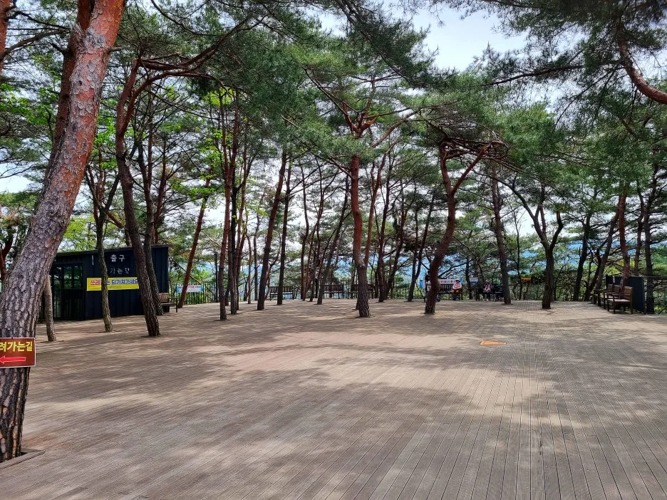 SE-34576e6c-0088-4c57-a50b-e7e1fcd3eb8c.jpg?type=w1