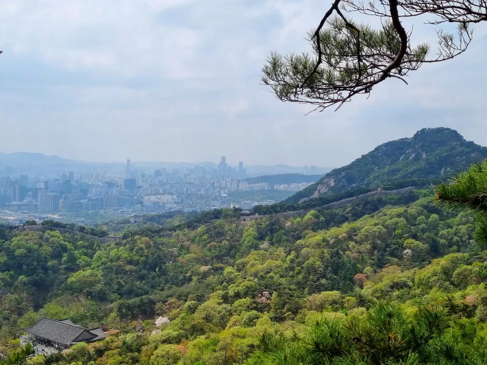 SE-db784212-4b28-4922-8cbc-1224abdd1fb8.jpg?type=w966