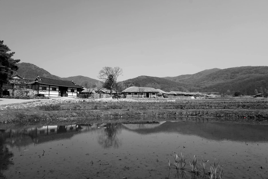 SE-a2374043-dd10-4929-9eff-d69096539855.jpg?type=w1