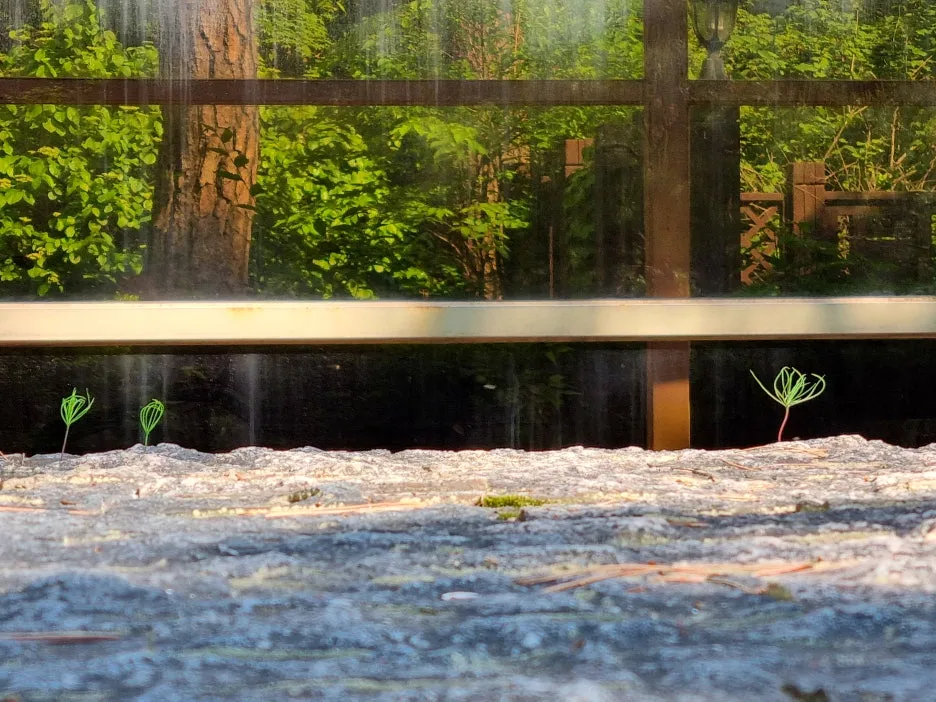 SE-00bbe3d3-4805-4df3-b522-3af02677091c.jpg?type=w1