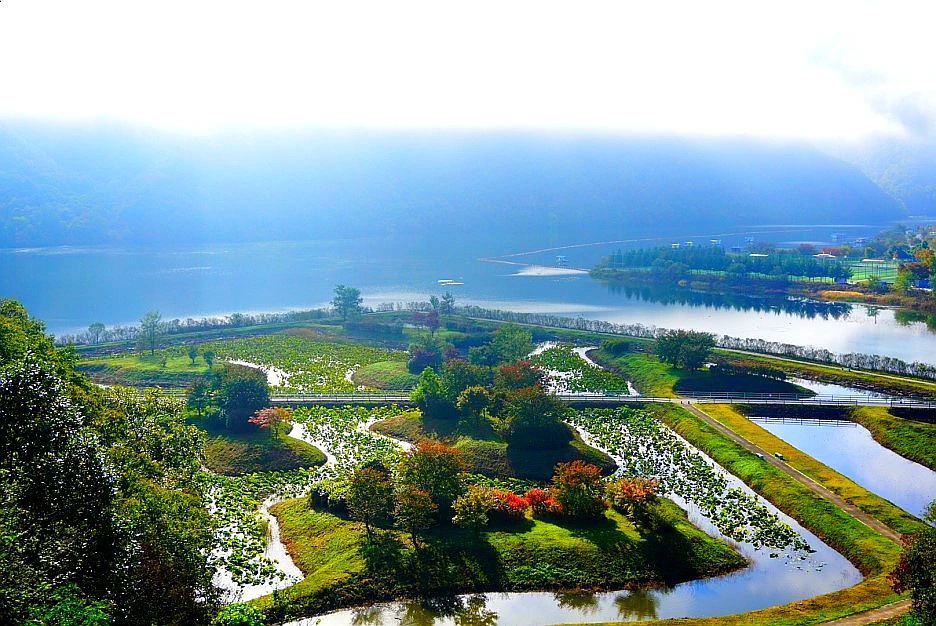 SE-60e7f2be-9c68-43f7-a278-8e62073fc8da.jpg?type=w1