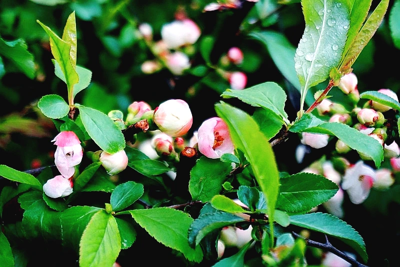 SE-a07a1bf9-ec79-416b-a3a6-78080700960d.jpg?type=w966