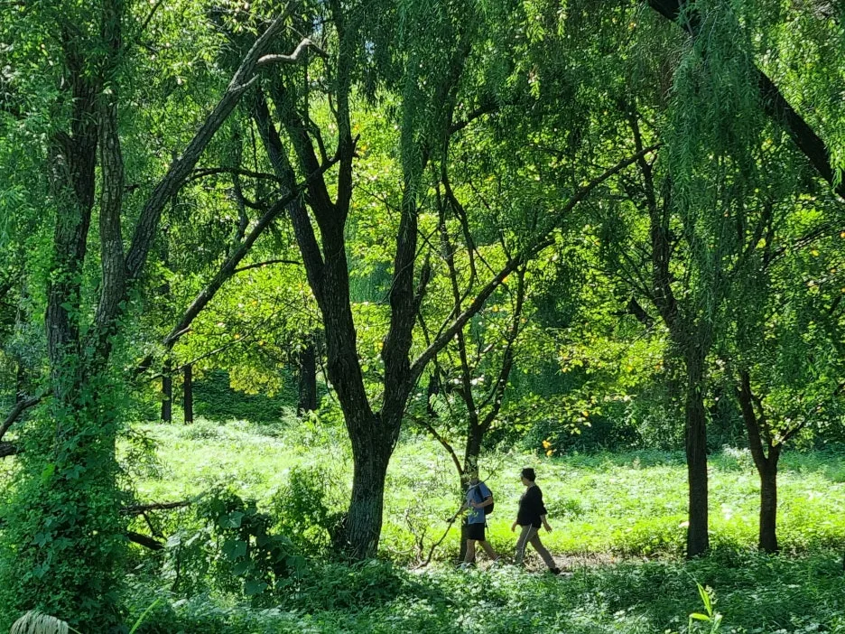 SE-33690d03-c2bd-407e-95f8-5d7f00061661.jpg?type=w1