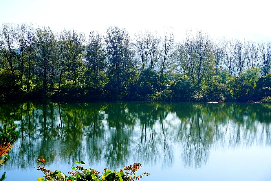 SE-cccce455-9ece-45a1-9ec1-1f349e50ba47.jpg?type=w1