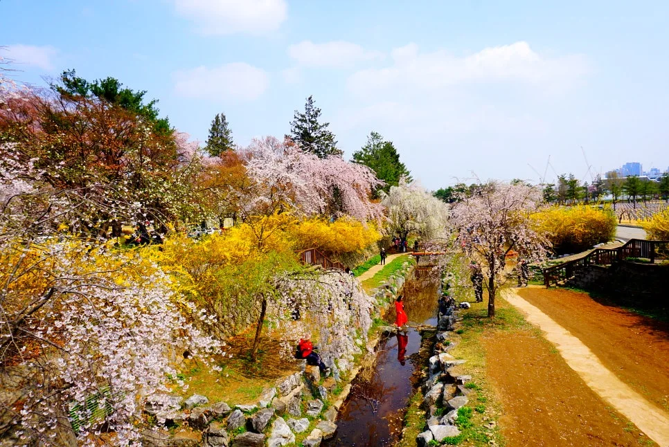 SE-24eb1685-282e-4331-aec9-3acf5c289223.jpg?type=w966