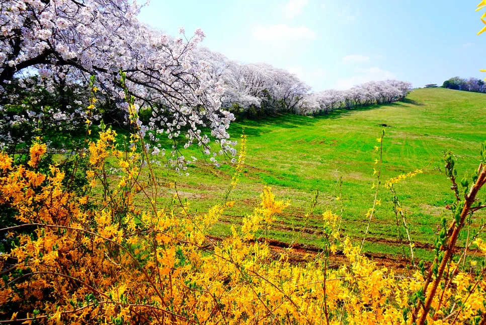 SE-c2226030-6fc0-4c24-9a70-5f2efa6a7949.jpg?type=w966