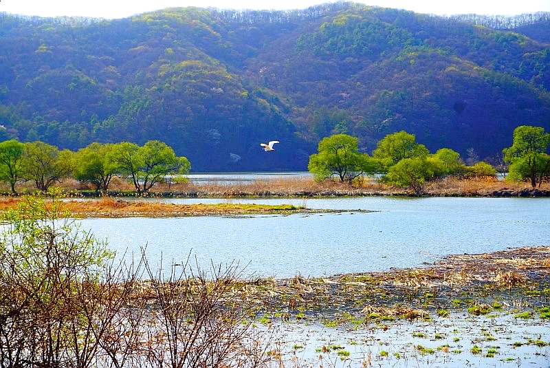 SE-ec265a9f-ae43-4495-9817-a43ae846b3c7.jpg?type=w1