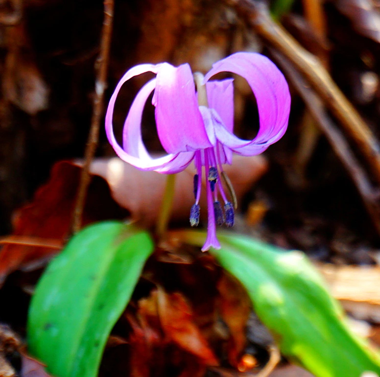 SE-eaa3f531-f6b6-4d2f-b7af-2819d2465c06.jpg?type=w1