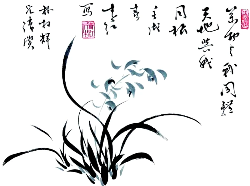 SE-15c6adcf-59db-4a85-95ef-e78e18a19f89.jpg?type=w1