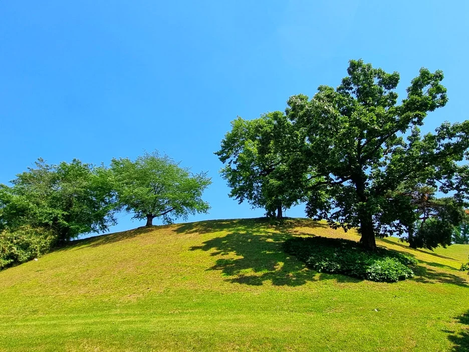 SE-7d341269-defd-457a-b5a4-ed1a8231fba4.jpg?type=w1