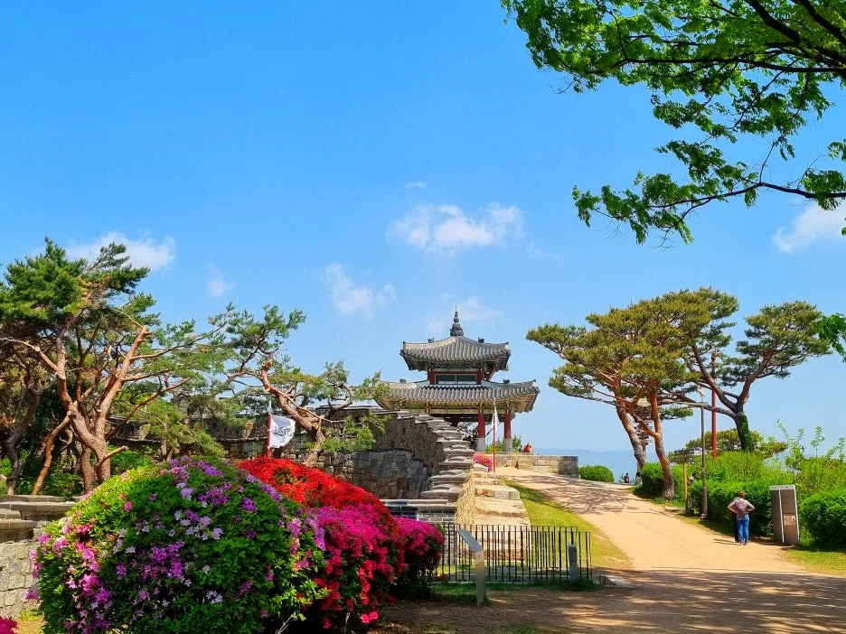 SE-0eb7c619-cf0b-4a9a-a2e0-d7772f751682.jpg?type=w1