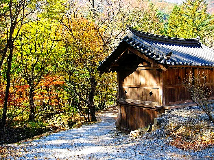 SE-cf0a4e75-dc4b-4dcf-bef7-d83aedcf1eb6.jpg?type=w1