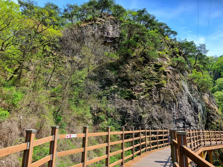 SE-80970568-5691-4d31-a786-14d653731c92.jpg?type=w1