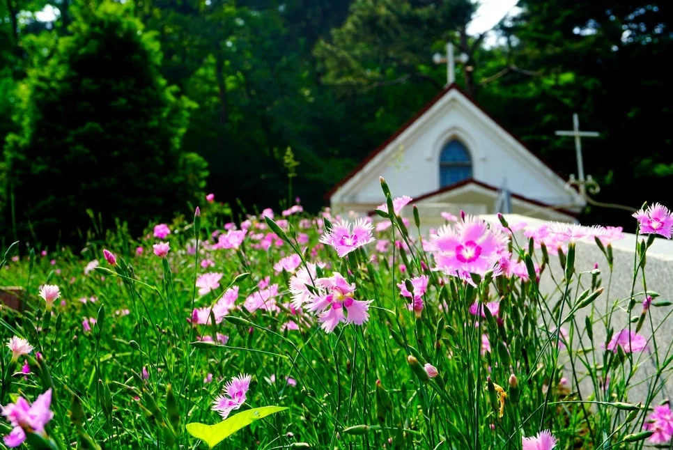 SE-a156a605-3833-4664-993d-4a85c761d6e8.jpg?type=w966