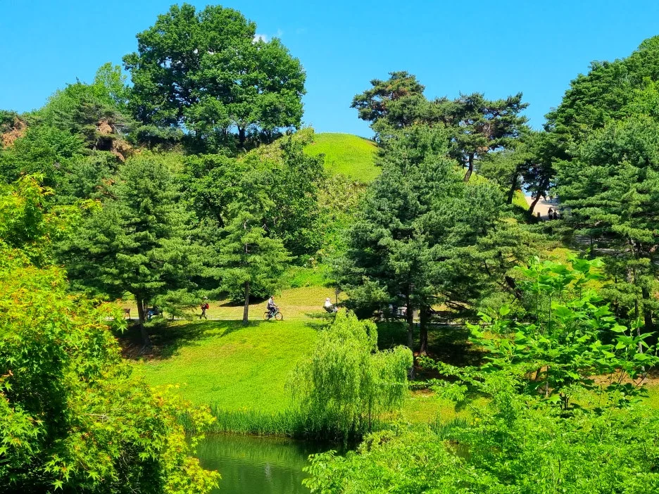 SE-c90f5023-c0d4-4796-9ee6-c81cc1c7c005.jpg?type=w1