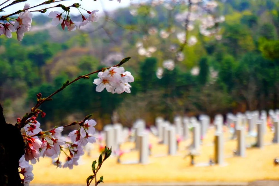 SE-51f100e0-b54d-466c-8e7f-67a019adf59d.jpg?type=w966