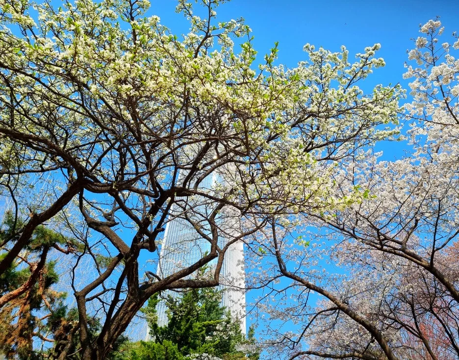 SE-5ef51664-3204-4c2c-bce3-0283ed51c61b.jpg?type=w1