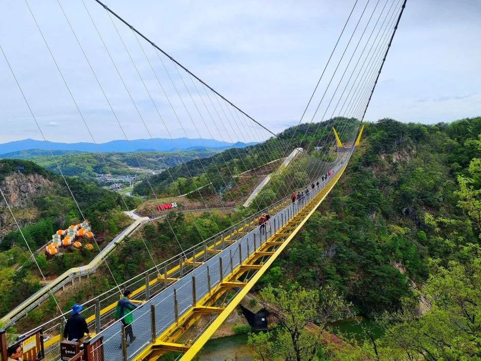 SE-a4e63f0c-0df8-4899-8ed0-8fa101a0e575.jpg?type=w1