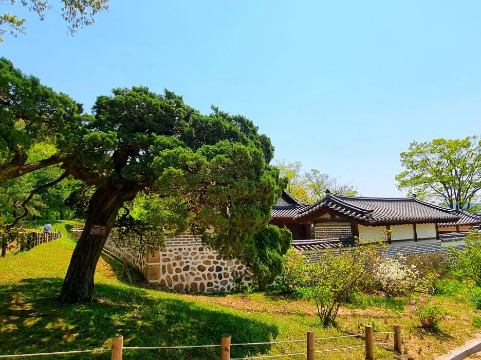 SE-85ef1e86-9008-40bb-b75c-dfa8be1563eb.jpg?type=w1