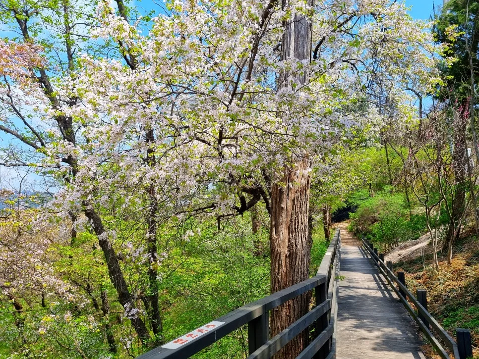 SE-b1c2e67b-6a66-4b4f-972a-3bcff77480e7.jpg?type=w966