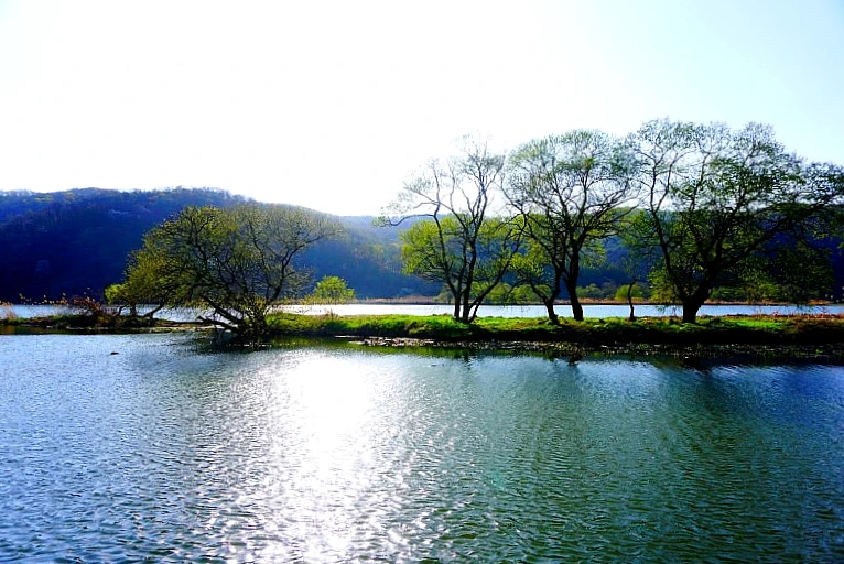 SE-4fffaa2d-04b4-449d-842b-a9b984120e7c.jpg?type=w1