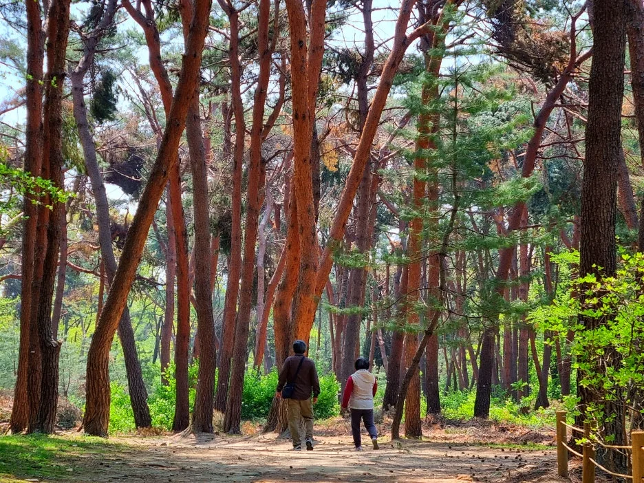 SE-0199beea-a820-4a71-b837-0c29e17a7b0e.jpg?type=w1