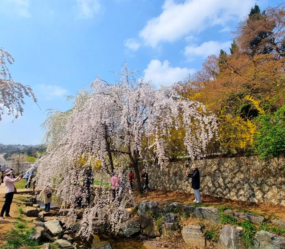 SE-4acb049b-8b4f-4ddf-af60-2b5d98422030.jpg?type=w966