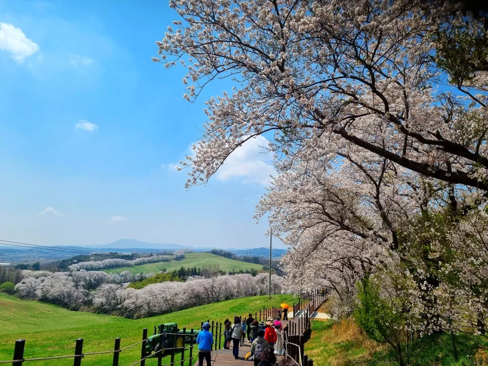 SE-b52c92bf-5779-4f21-8355-8dd4c34c59d6.jpg?type=w966